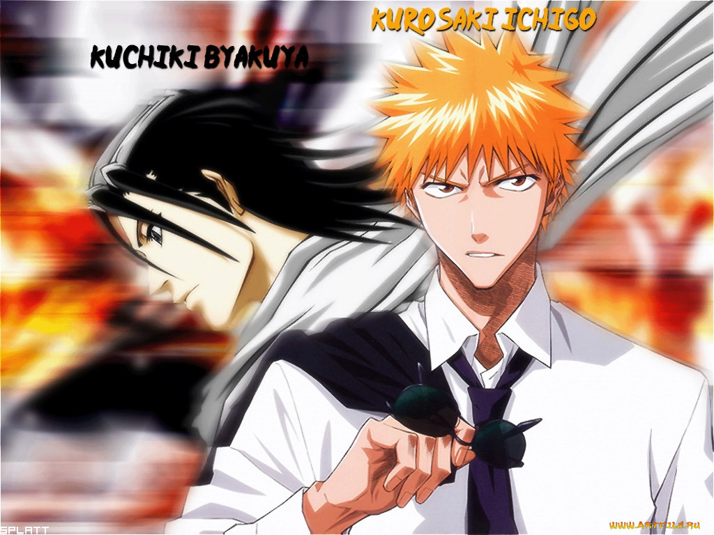 bleach, 